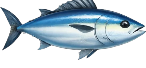 tuna